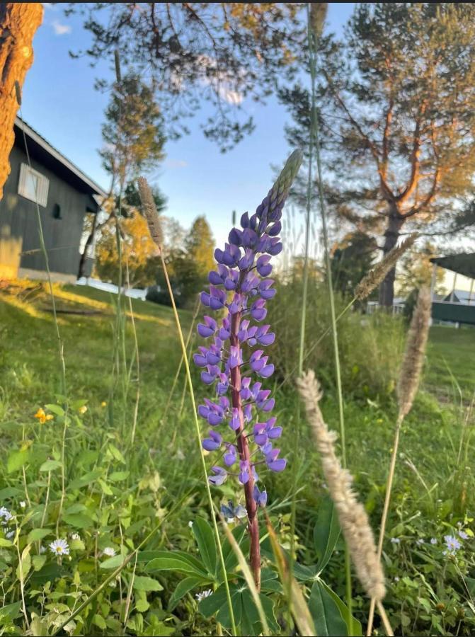 Rangeley Town & Lake Dış mekan fotoğraf